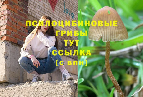 гидропоника Балабаново